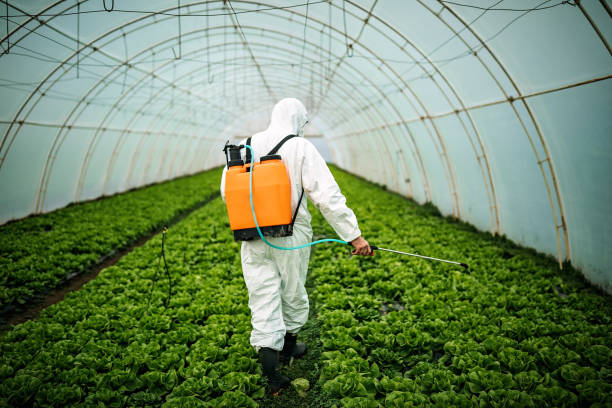 Best Local Pest Control Services  in Suamico, WI