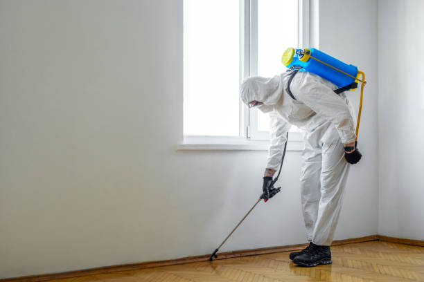 Best Residential Pest Control  in Suamico, WI