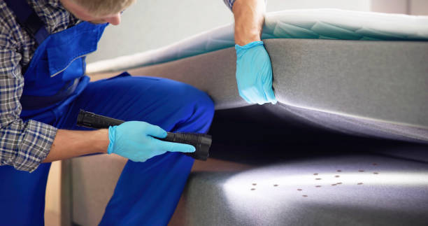 Best Pest Removal Services  in Suamico, WI