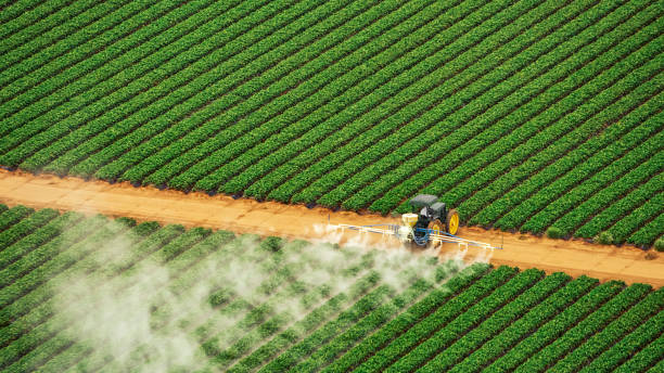 Best Termite Control Services  in Suamico, WI