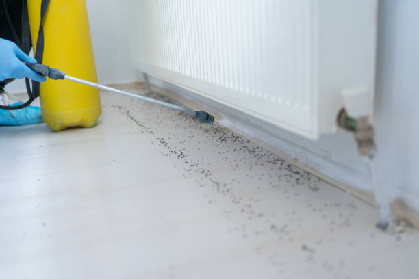 Best Insect Control  in Suamico, WI