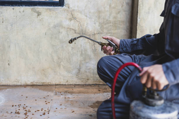 Best Pest Prevention Services  in Suamico, WI