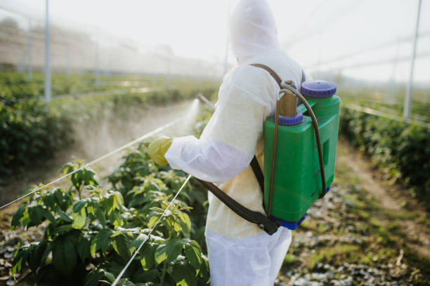 Best Flea Control Services  in Suamico, WI